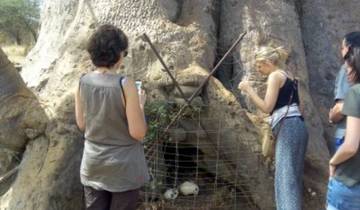 Senegal Culture History and Nature 12 Days/11 Nights Tour