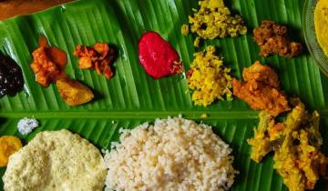 Un avant- goût de l'Inde du Sud - Temples et plantations de thé