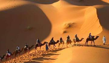 Les villes impériales du Maroc et le désert du Sahara - 13 jours circuit