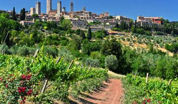 A Taste of Tuscany - Hilltop Towns and Vineyards Tour