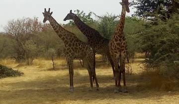 17 Days in Senegal & Gambia, incl. Dakar and Banjul