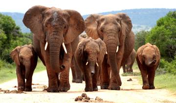 10 Day South Africa Itinerary, incl. Johannesburg and Cape Town