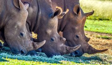 10 Day South Africa Itinerary, incl. Johannesburg and Cape Town