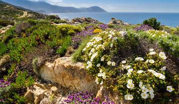 8 Days in Corsica, incl. Nice and Ajaccio