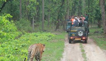 Golden Triangle & Tiger Safari  With 4 Star Hotels Tour