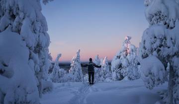 Magical New Year in Wild Sweden