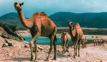 Tailor-Made Best Oman Tour with Daily Departure & Private Trip Tour
