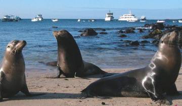 4 Day Galapagos Island Hopping Classic Tour