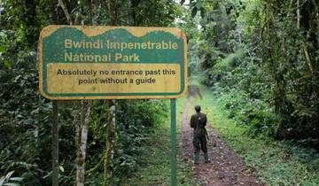 3-Day Tour to Uganda – Gorilla Trekking Bwindi Forest