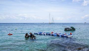 MEXICO Adventure – Cancun Tulum Cozumel