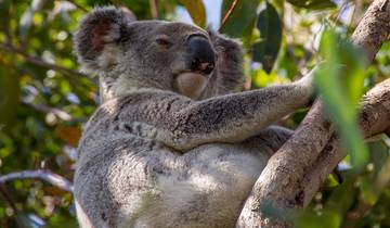 16 Day Australia & Fiji Itinerary, incl. Sydney and Great Barrier Reef
