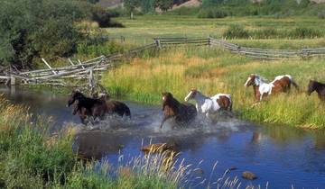 6 Day Yellowstone & Grand Tetons Itinerary, incl. Jackson and Lamar Valley