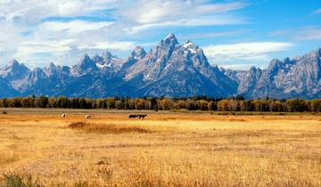 6 Day Yellowstone & Grand Tetons Itinerary, incl. Jackson and Lamar Valley