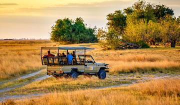 10 Day Botswana Safari Itinerary, incl. Okavango Delta and Chobe