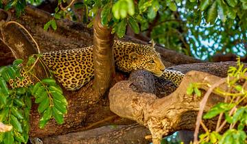 10 Day Botswana Safari Itinerary, incl. Okavango Delta and Chobe