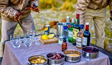 10 Day Botswana Safari Itinerary, incl. Okavango Delta and Chobe