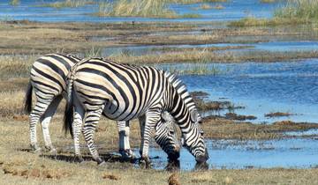 Tailor-Made Botswana Adventure to Okavango Delta with Daily Departure Tour