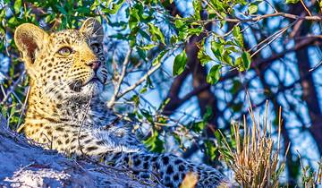 Botswana im Okavango-Delta Abenteuerreise