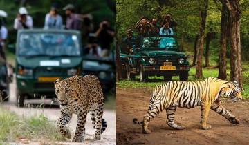 Golden Triangle Tour with Ranthambore & Jhalana Leopard Safari Tour