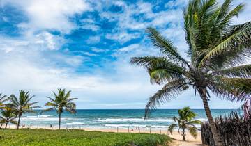 Het beste van Brazilië-rondreis