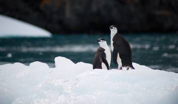 Antarktis und Kaiserpinguine – unterwegs zwischen Weddellmeer und Larsen Schelfeis