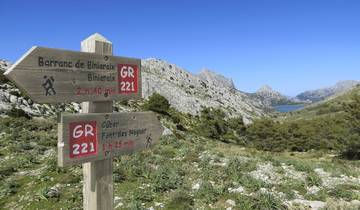 10 Days in Mallorca, incl. Palma and Pollença