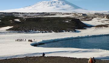 Adventure Ross Sea Intensive