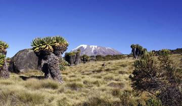 Mount Meru and Kilimanjaro