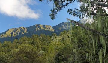 Le mont Meru, le Kilimandjaro et safari