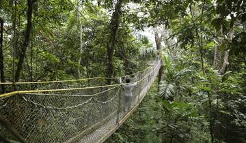 Sur les traces du jaguar, du caïman et du fourmilier