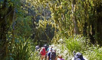 Le Kilimandjaro et safari