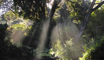 Kilimanjaro - het Dak van Afrika via de Lemosho Route-rondreis