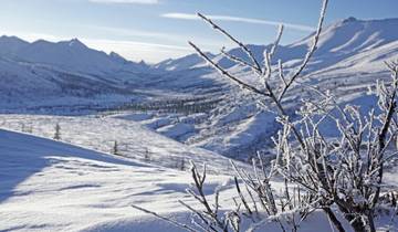 Arctic Roadtrip - Winter Adventure in the North Tour