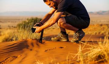 Vom Kap nach Windhoek als Campingsafari