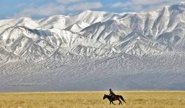 In the Steppe Wind through the Vastness of Genghis Khan