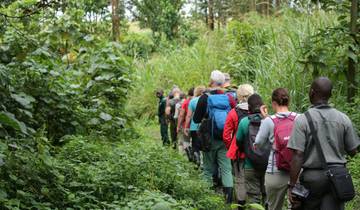 Aktiv im Land der Silberrücken
