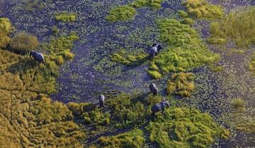 Rhino Tracks, Hippo Pools and Elephant Trails