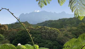 16 Day Borneo Itinerary, incl. Kuching and Kota Kinabalu