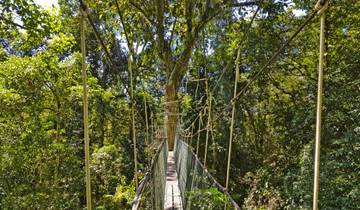 L'île des Hommes des bois