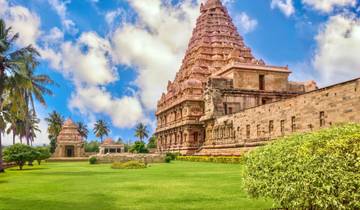 Hindu Gods and Coconut Palms