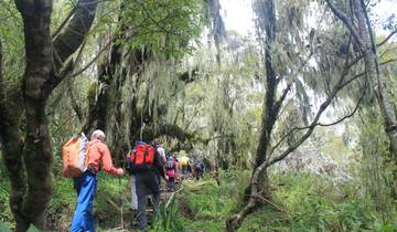 Mount Meru, Kilimanjaro, Safari, Zanzibar