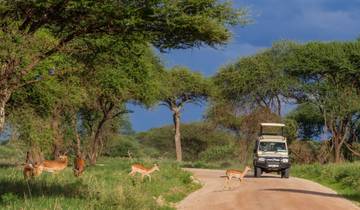Sur les traces de la grande migration des animaux (8 destinations)