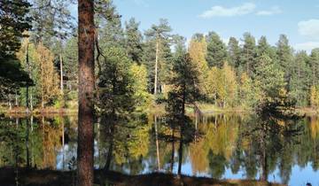 Finnish Autumn Nature Experience Tour