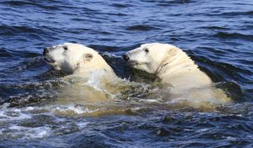 7 Day Arctic Canada Itinerary, incl. Churchill and Winnipeg