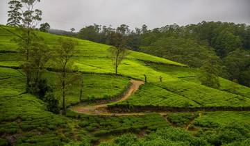 Tropisches Inselparadies