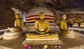 Im Land des Ceylon-Tees