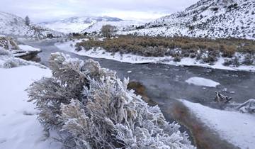 Winter Magic in Yellowstone National Park