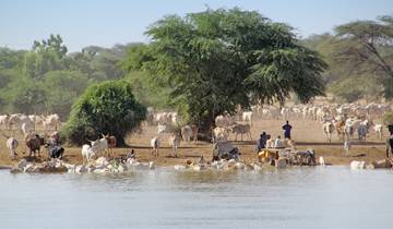 Grand Tour Senegal mit Kalebassenfestival