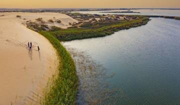 Im Königreich der Sa'ud