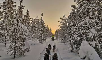 Winterdroom met husky\'s – klassiek-rondreis